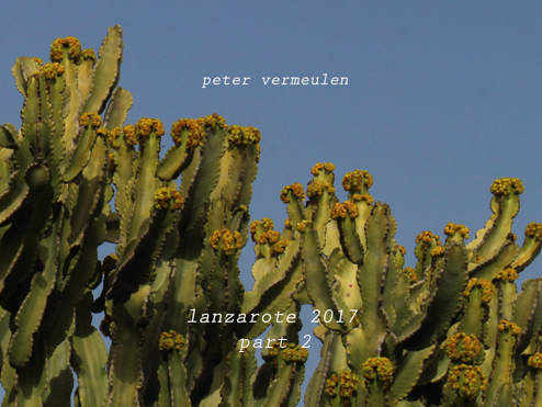 thumbnaillanzarote2